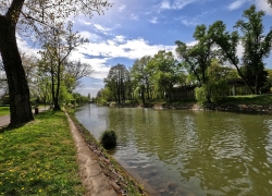 Primavara in Timisoara