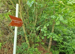 Cascada Fecioara Maria din Herculane