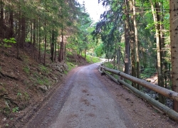 Manastirea Rarau din Bucovina