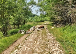 Drumul de marmura din satul Alun