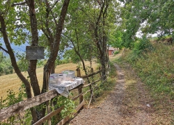 Produse locale de la Catunul Inelet