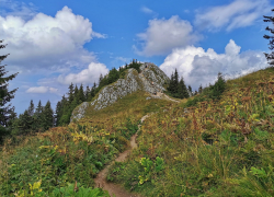 Traseu montan Poiana Brasov - Vf Postavaru