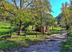 Ansamblul de mori din Garliste