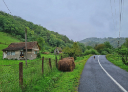 Biserica de lemn din Rosia Noua
