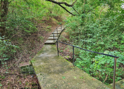 Biserica de lemn din Tarmure