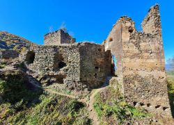 Cetatea Colt de la Suseni