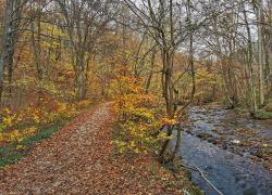 Traseu spre Lacul Ochiul Bei