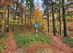 Valea Beusnita Cheile Nerei