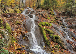 Valea Beusnita Cheile Nerei