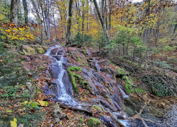 Valea Beusnita Cheile Nerei