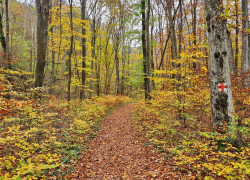 Valea Beusnita Cheile Nerei