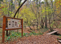 Cascada Beusnita din Cheile Nerei