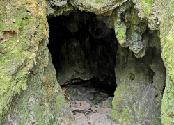 Cascada Beusnita din Cheile Nerei