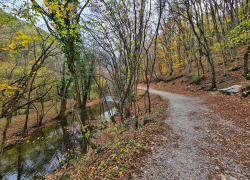 Traseu spre Lacul Ochiul Bei