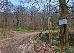 Pestera Gaura Haiduceasca din Moldova Noua