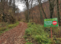 Pestera Gaura Haiduceasca din Moldova Noua