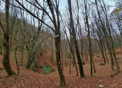 Pestera Gaura Haiduceasca din Moldova Noua