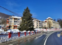 Calea ferata Oravita - Anina