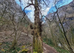 Cheile Turzii din jud Cluj