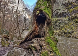 Cheile Turzii din jud Cluj