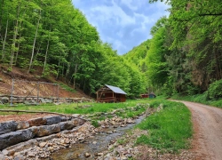 Cascada Boiului din jud Bihor