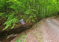 Cascada Boiului din jud Bihor