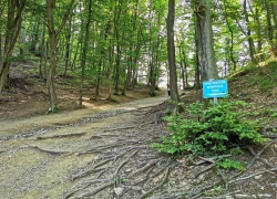 Manastirea Prislop din Hateg