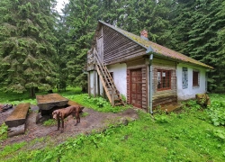 Traseu cu bicicleta Baraj Gura Apelor - Lacul Bucura