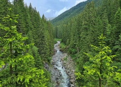 Traseu cu bicicleta Baraj Gura Apelor - Lacul Bucura