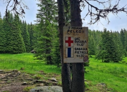 Traseu cu bicicleta Baraj Gura Apelor - Lacul Bucura