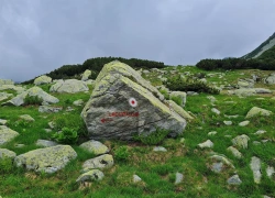 Traseu cu bicicleta Baraj Gura Apelor - Lacul Bucura