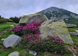 Traseu cu bicicleta Baraj Gura Apelor - Lacul Bucura