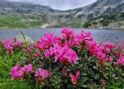 Traseu cu bicicleta Baraj Gura Apelor - Lacul Bucura