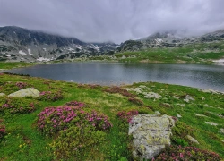 Traseu cu bicicleta Baraj Gura Apelor - Lacul Bucura