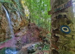 Cascada Bulbuci din Muntii Apuseni