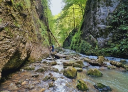 Circuitul Cheile Galbenei din Apuseni