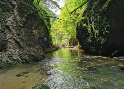 Circuitul Cheile Galbenei din Apuseni