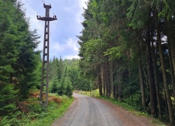 Manastirea Budesti (Rosia) din Maramures