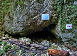 Pestera Buhui din Anina