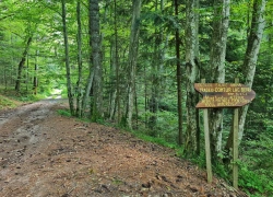 Traseul tematic Lacul Buhui din Anina