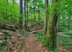 Traseul tematic Lacul Buhui din Anina