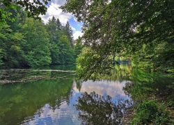 Traseul tematic Lacul Buhui din Anina
