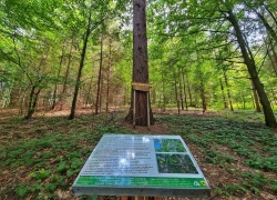 Traseul tematic Lacul Buhui din Anina