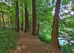 Traseul tematic Lacul Buhui din Anina