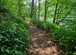 Traseul tematic Lacul Buhui din Anina