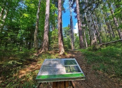 Traseul tematic Lacul Buhui din Anina