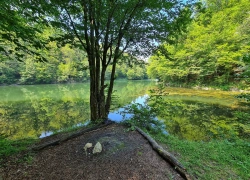 Traseul tematic Lacul Buhui din Anina