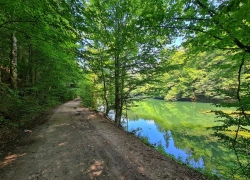 Traseul tematic Lacul Buhui din Anina