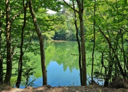 Traseul tematic Lacul Buhui din Anina
