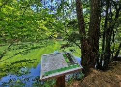Traseul tematic Lacul Buhui din Anina